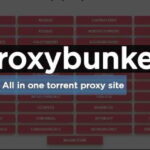 Proxybunker Alternative Sites- Best Proxy Bunker Alternatives