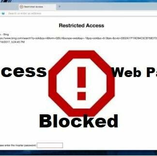 Restricted Websites Blocked Web Pages
