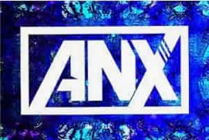 ANX Emulator