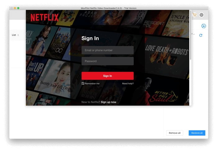 Netflix Sign in