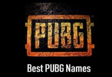 500+ Pubg Funny Name