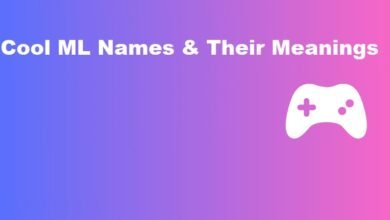 Cool ML Names and Their Meanings